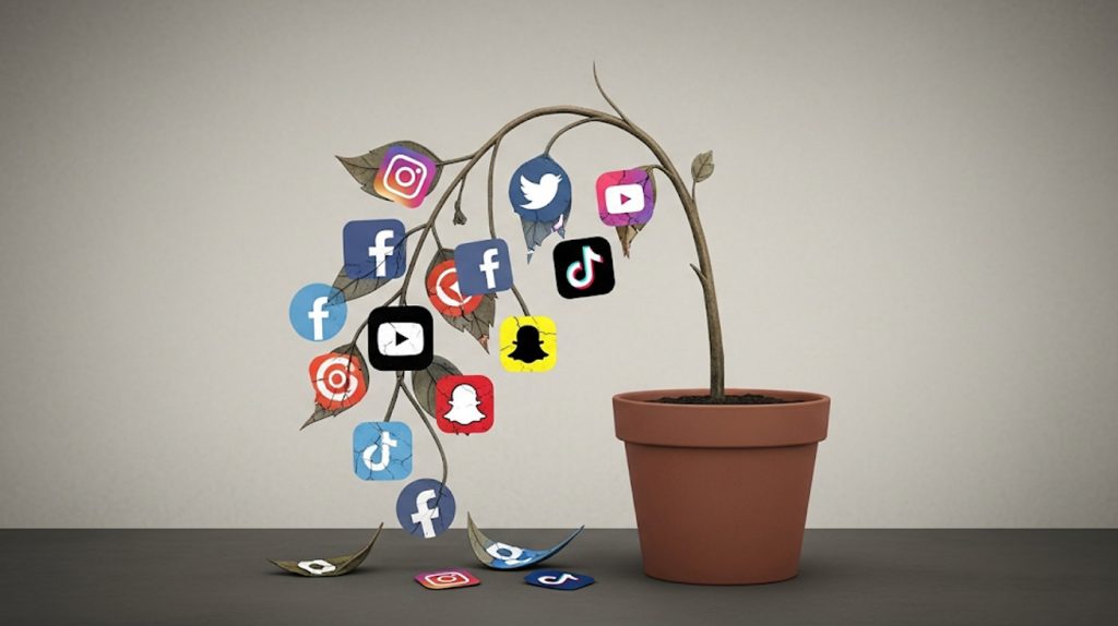An illustration of a wilting plant with social media icons for leaves, symbolizing a lack of social media growth.